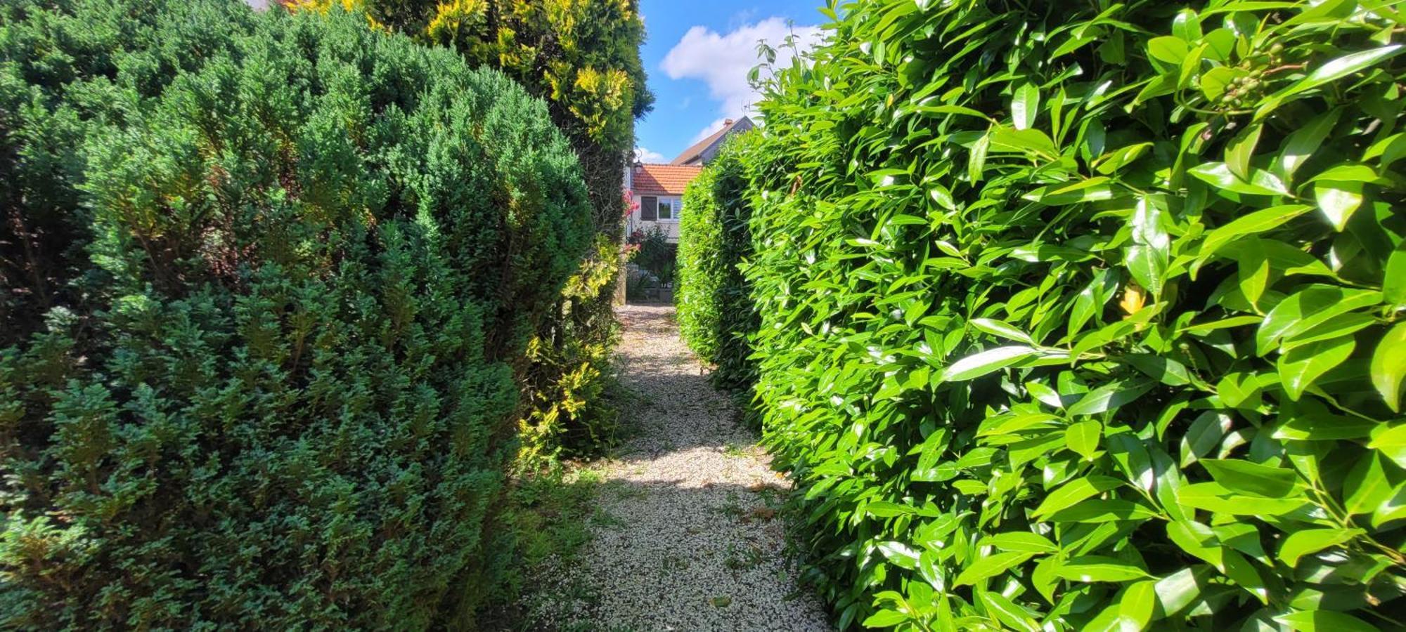 La Maison De L'Abeille De Percey Longeau-Percey Exteriör bild