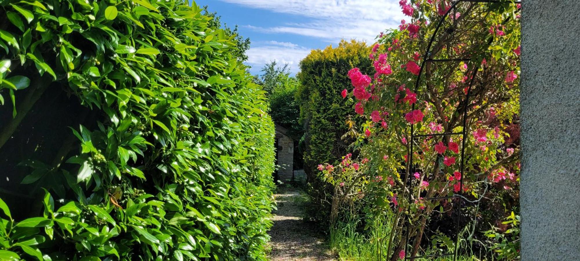 La Maison De L'Abeille De Percey Longeau-Percey Exteriör bild